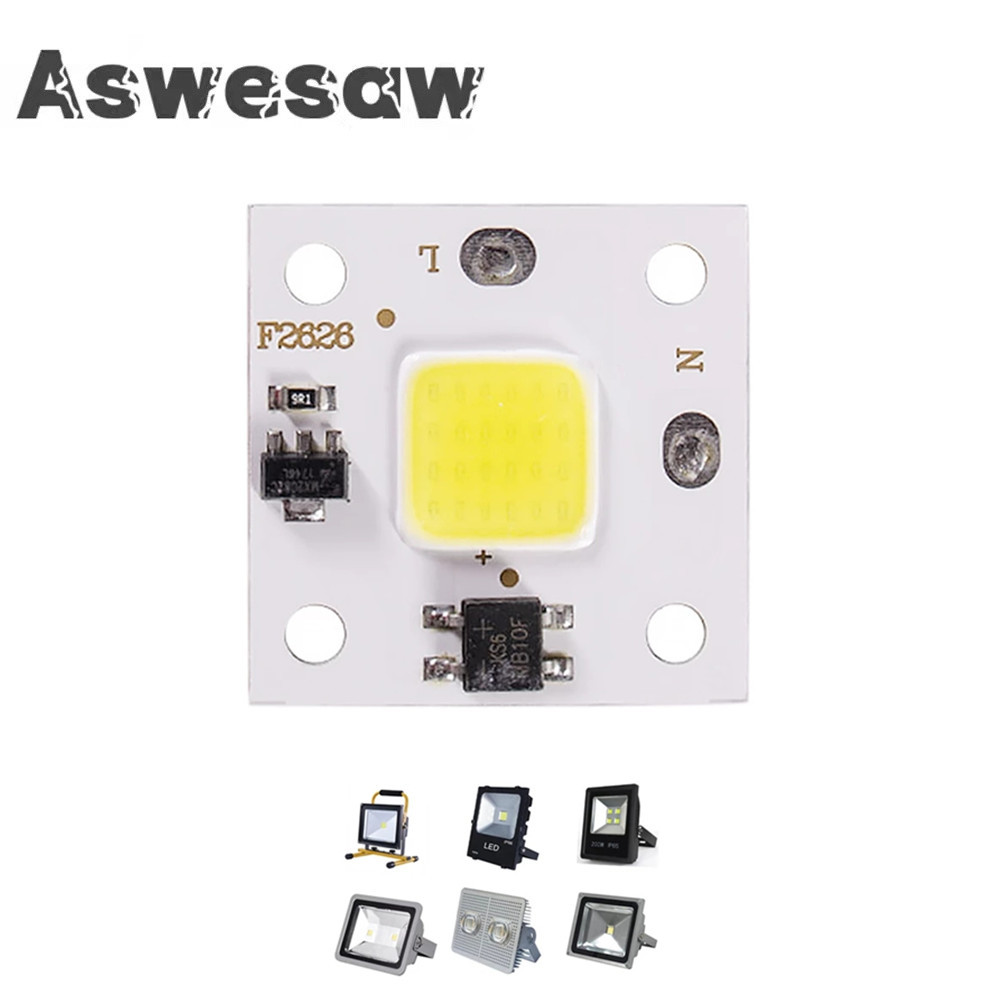 Outdoor Spotlight - 10W COB module 220V LED Chip